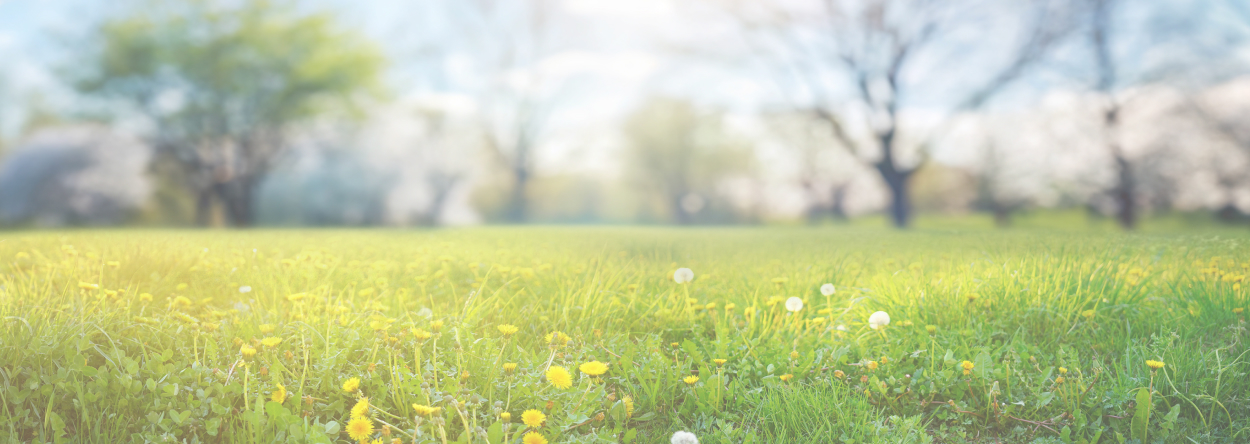 事業内容のイメージ｜東京の土木工事・造園工事・重機オペレーター業は株式会社拓優